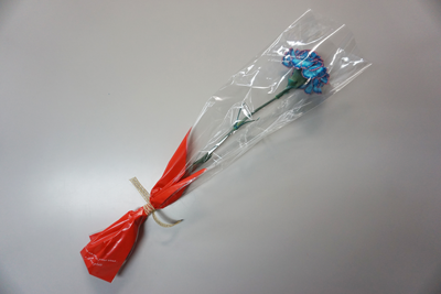 母の日企画 サガン鳥栖カラーカーネーション 通常販売および受注販売のお知らせ サガン鳥栖 公式 オフィシャルサイト 母の日企画 サガン鳥栖カラーカーネーション 通常販売および受注販売のお知らせ サガン鳥栖 公式 オフィシャルサイト
