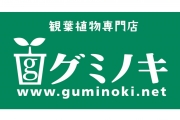 guminoki　様 横断幕(スタジアム観客席階段上部)スポンサー協賛決定のお知らせ