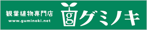 guminoki