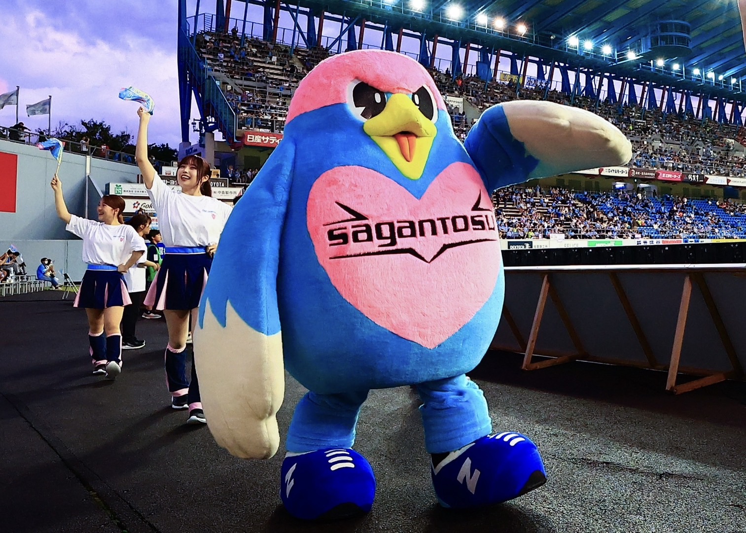 ウィントス 契約更新のお知らせ